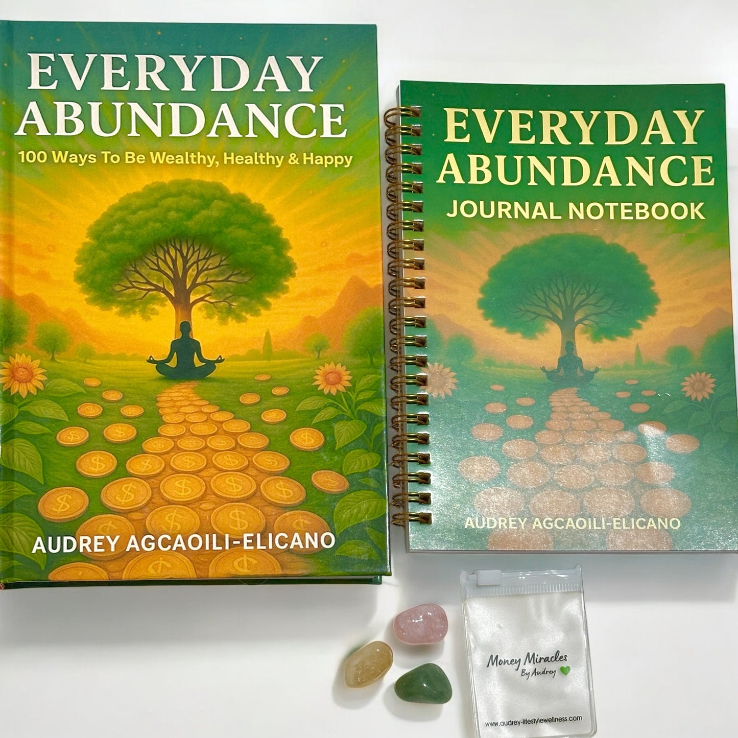 Everyday Abundance: 100 Ways To Be Wealthy, Healthy & Happy (Paperback by Audrey Agcaoili-Elicano)