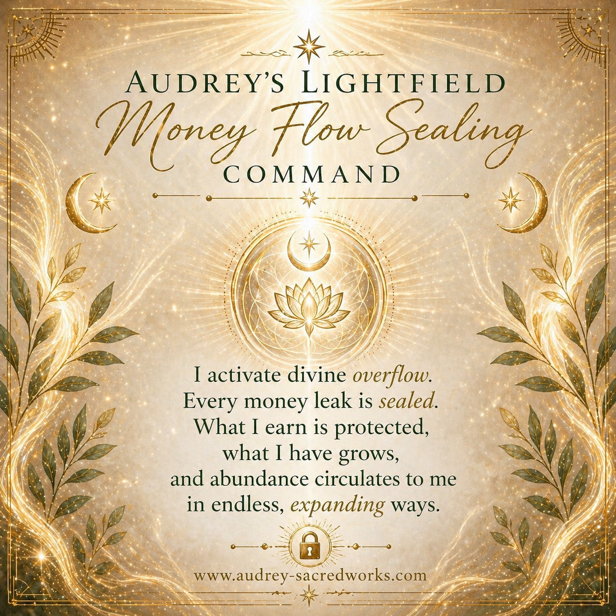 Money Leak Protection & Stability Lightfield™ with Audrey Aelthira