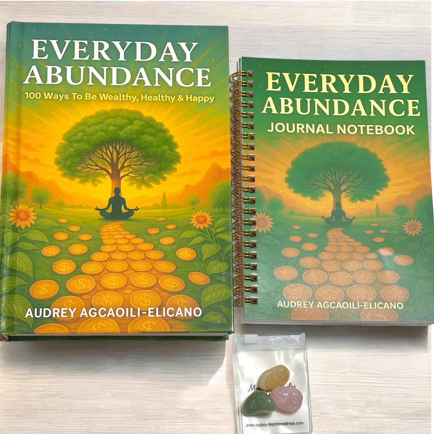 Everyday Abundance: 100 Ways To Be Wealthy, Healthy & Happy (Paperback by Audrey Agcaoili-Elicano)