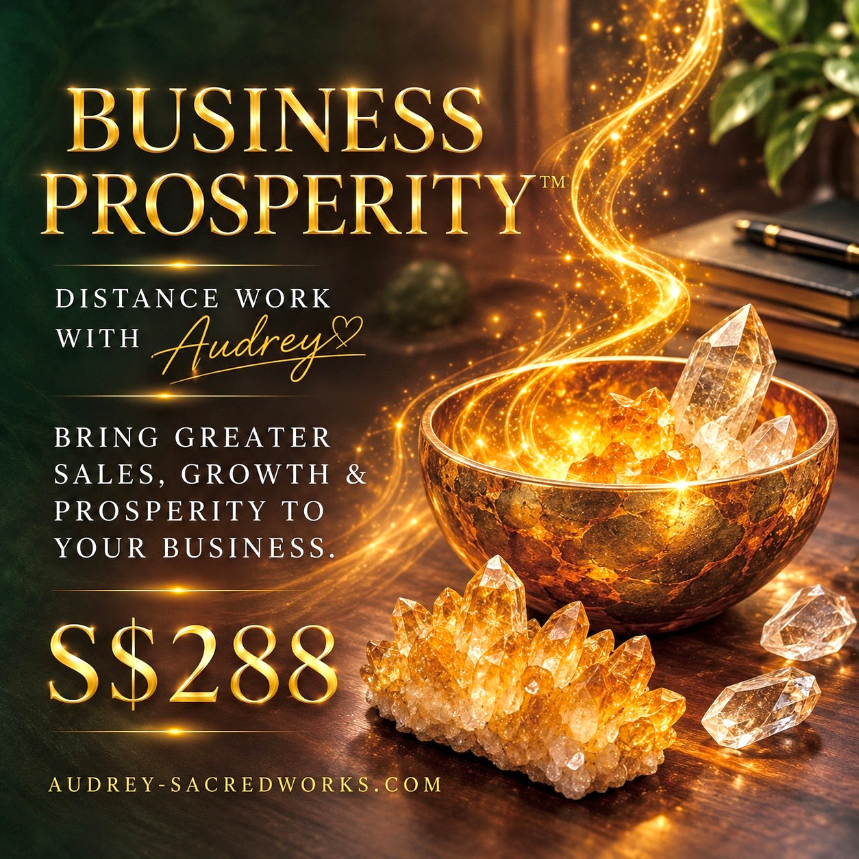 BUSINESS PROSPERITY™ Distance Work with Audrey (For A Prosperous Business)